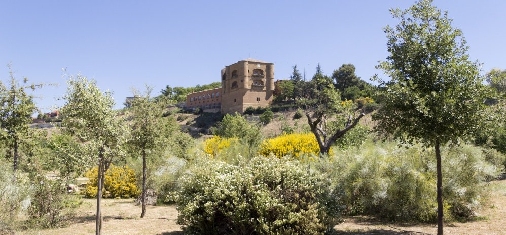 Jardin botanico Prado de las Pavas 2015 (10)