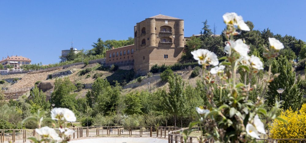 Jardin botanico Prado de las Pavas 2015 (14)