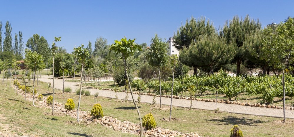 Jardin botanico Prado de las Pavas 2015 (21)