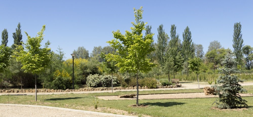 Jardin botanico Prado de las Pavas 2015 (24)