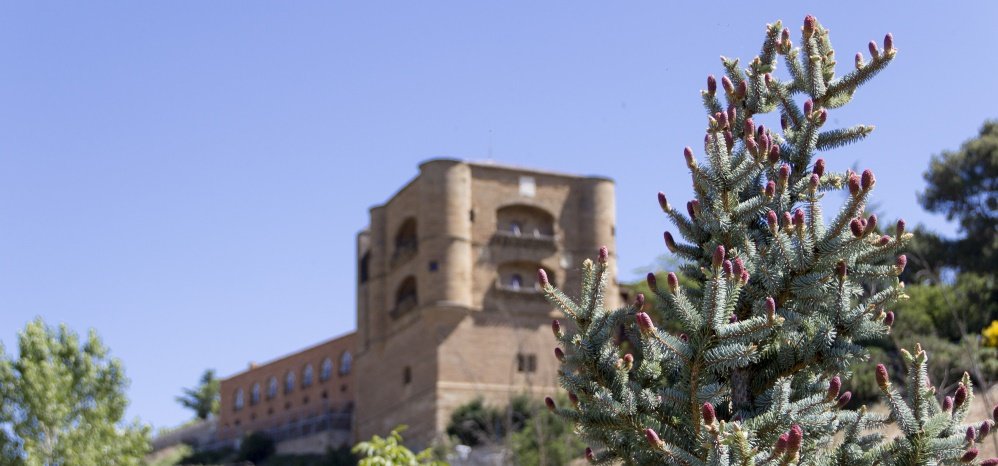 Jardin botanico Prado de las Pavas 2015 (27)