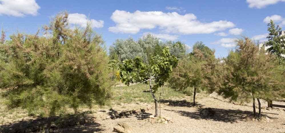 Jardin botanico Prado de las Pavas 2015 (29)