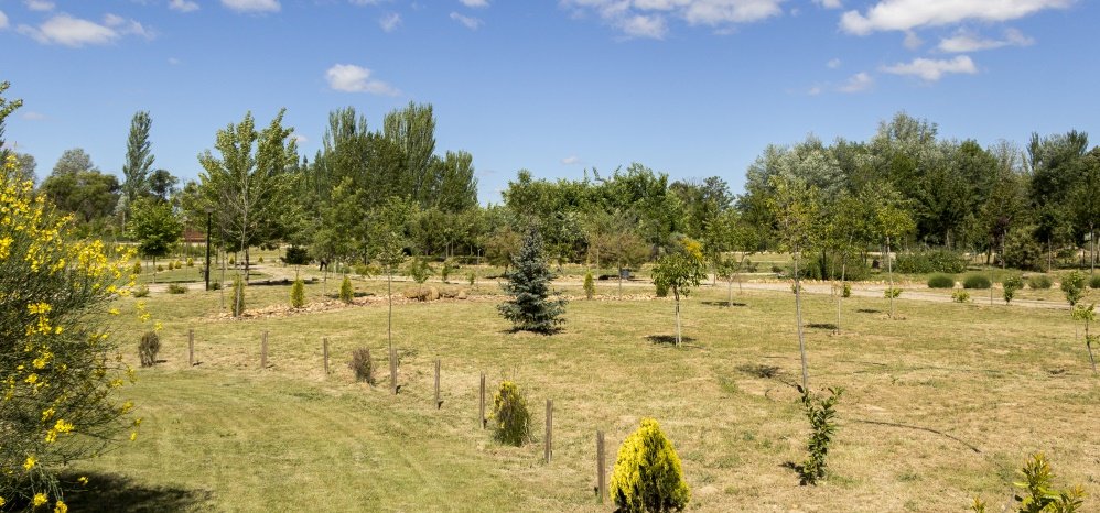 Jardin botanico Prado de las Pavas 2015 (32)