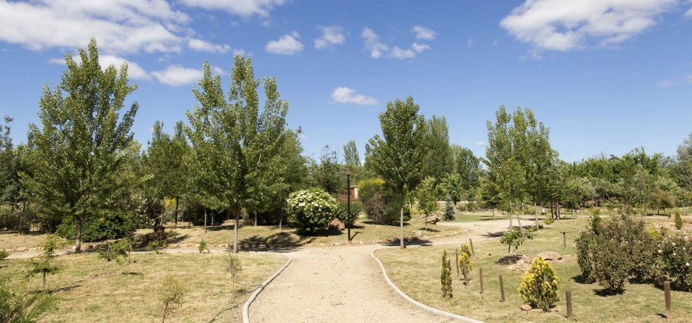 Jardin botanico Prado de las Pavas 2015 (33)