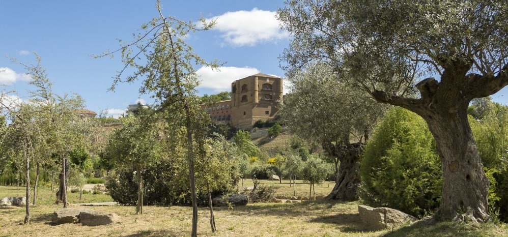 Jardin botanico Prado de las Pavas 2015 (36)