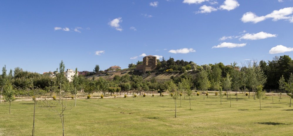 Jardin botanico Prado de las Pavas 2015 (47)