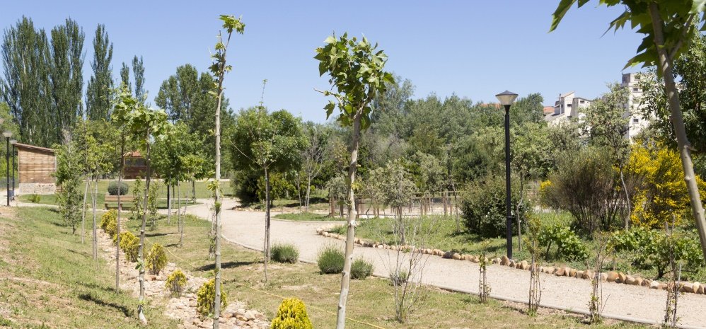 Jardin botanico Prado de las Pavas 2015 (52)