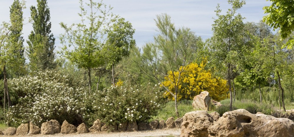 Jardin botanico Prado de las Pavas 2015 (60)