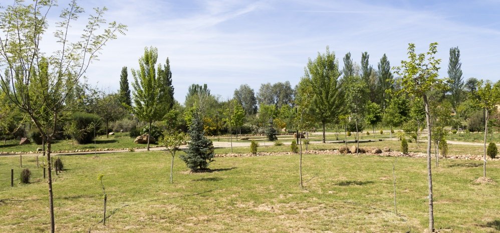 Jardin botanico Prado de las Pavas 2015 (63)