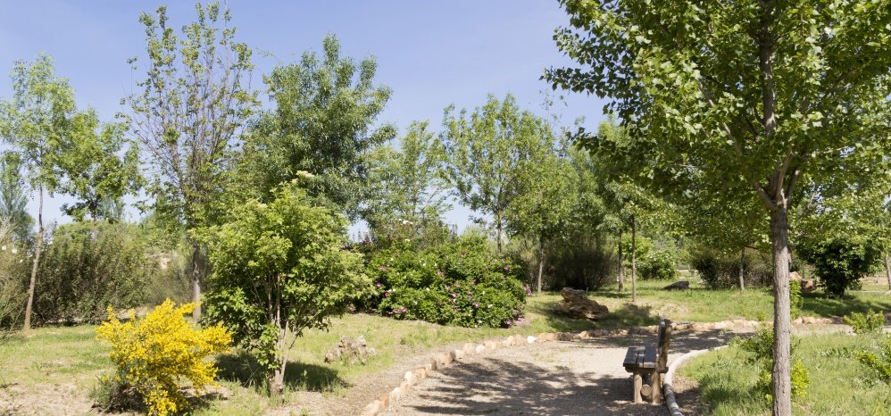 Jardin botanico Prado de las Pavas 2015 (69)