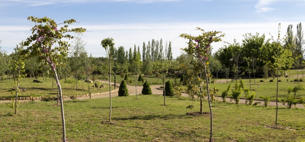 Jardin botanico Prado de las Pavas 2015 (78)