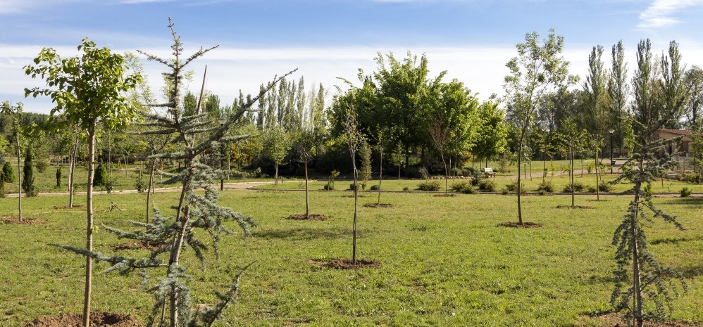 Jardin botanico Prado de las Pavas 2015 (79)