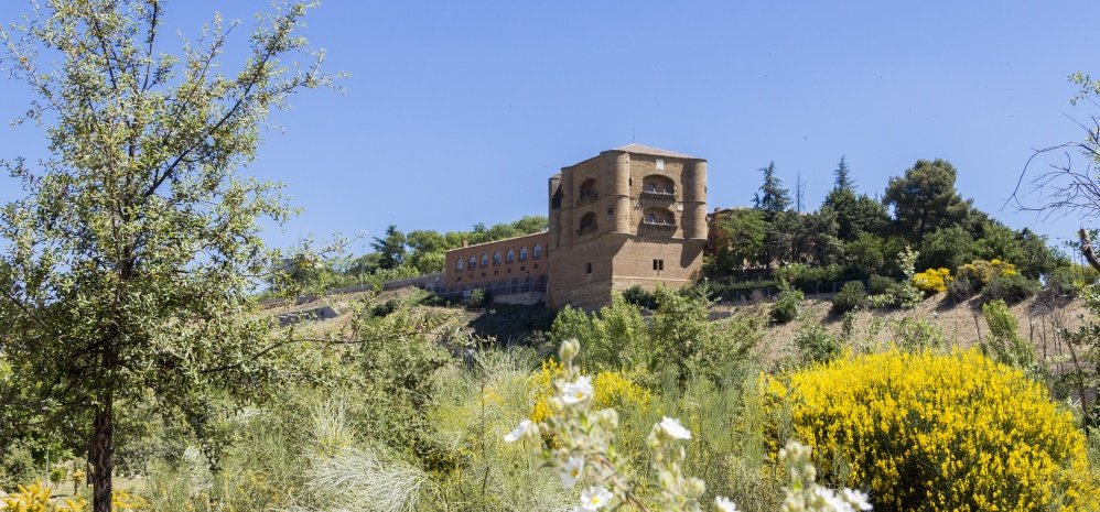 Jardin botanico Prado de las Pavas 2015 (8)