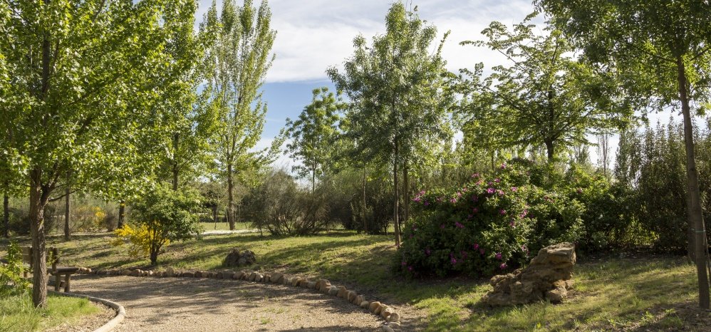 Jardin botanico Prado de las Pavas 2015 (83)