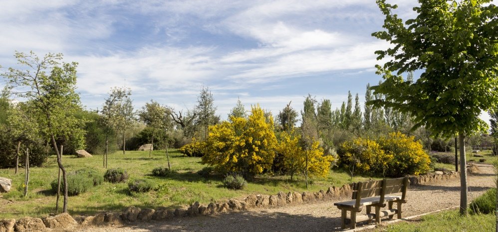 Jardin botanico Prado de las Pavas 2015 (84)