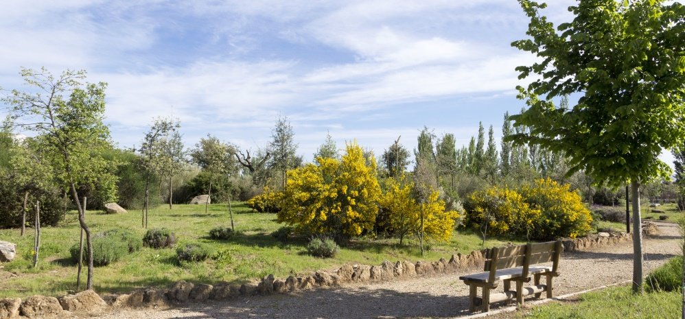 Jardin botanico Prado de las Pavas 2015 (85)