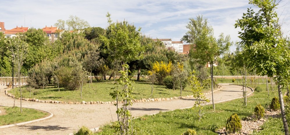 Jardin botanico Prado de las Pavas 2015 (86)