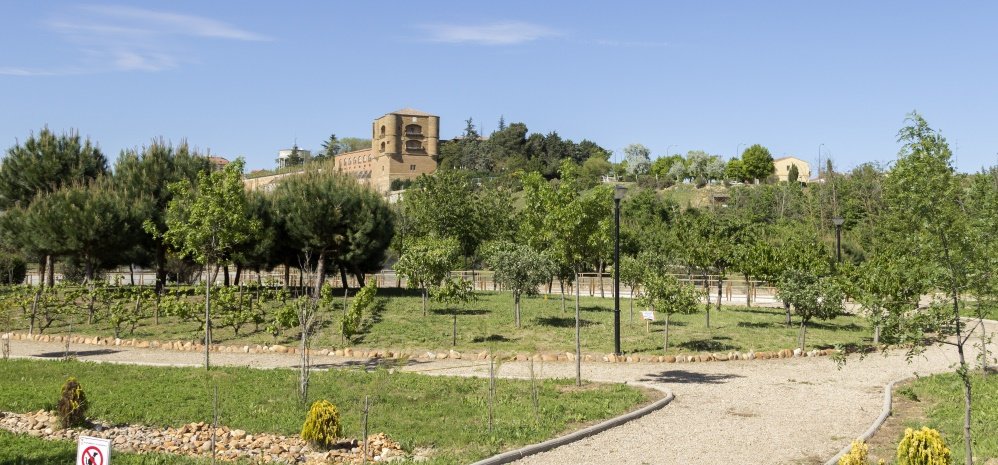 Jardin botanico Prado de las Pavas 2015 (87)