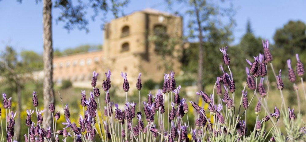 Jardin botanico Prado de las Pavas 2015 (91)