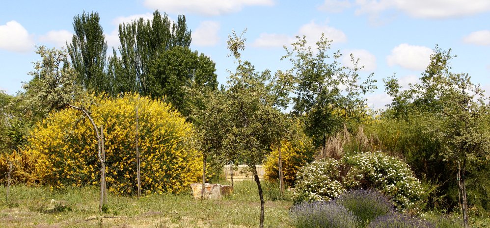 Prado de las Pavas Jardin Botanico (105)