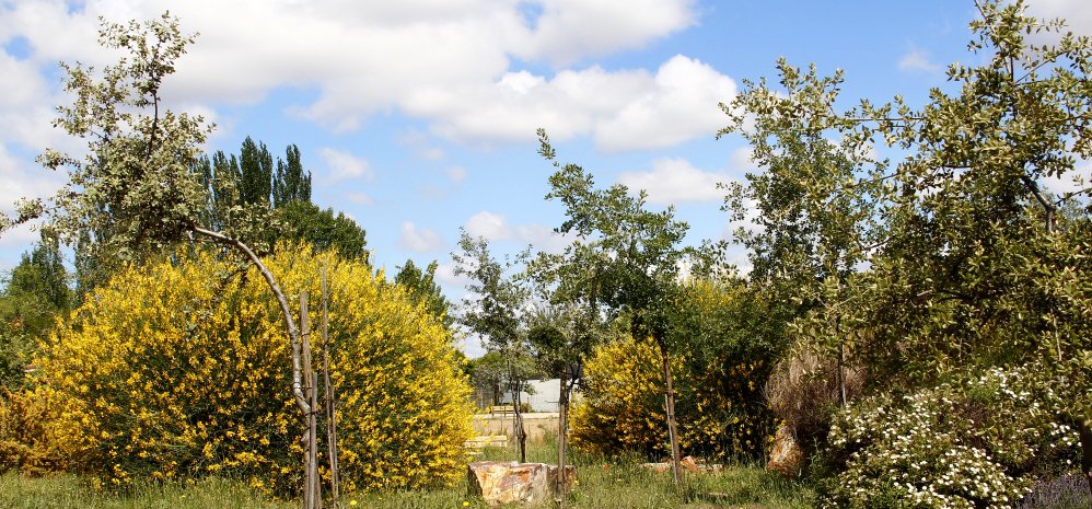 Prado de las Pavas Jardin Botanico (106)