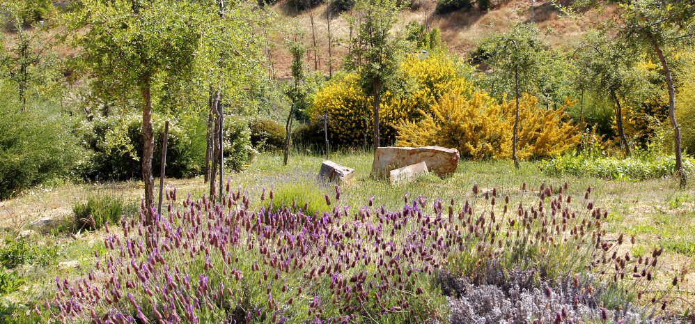 Prado de las Pavas Jardin Botanico (108)