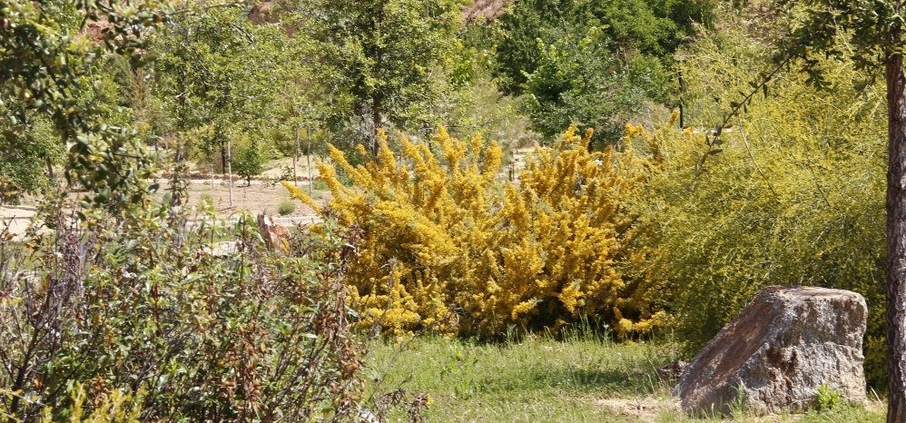 Prado de las Pavas Jardin Botanico (113)