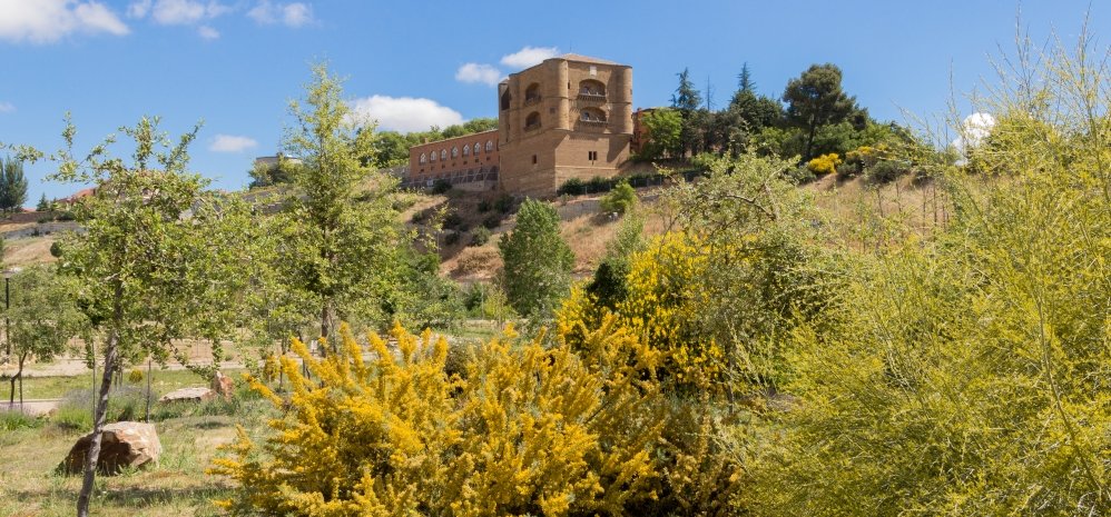 Prado de las Pavas Jardin Botanico (117)