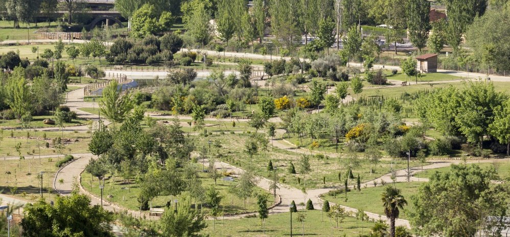 Prado de las Pavas Jardin Botanico (124)