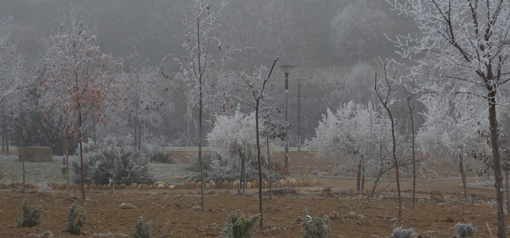 Prado de las Pavas Jardin Botanico (18)