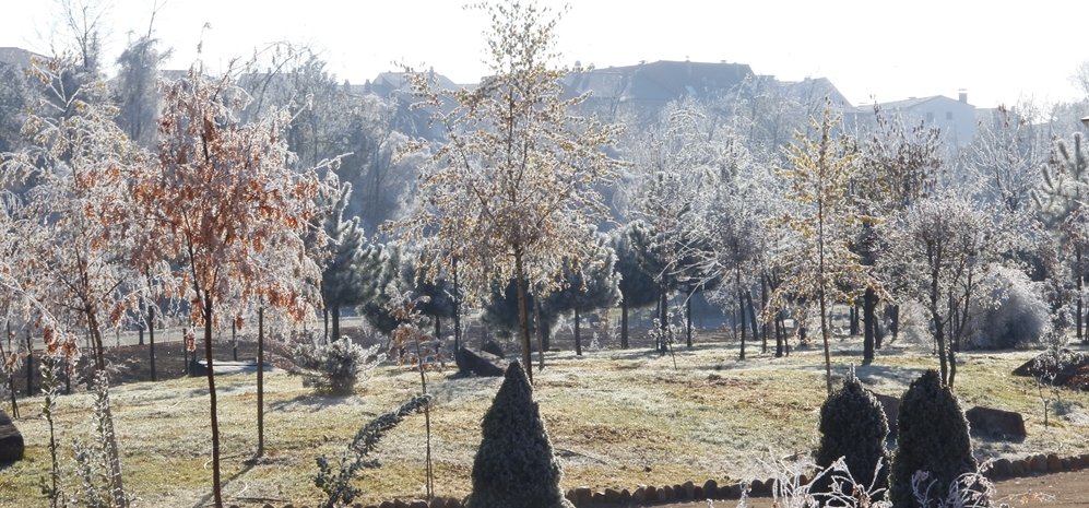 Prado de las Pavas Jardin Botanico (37)