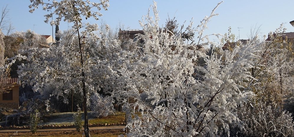 Prado de las Pavas Jardin Botanico (45)