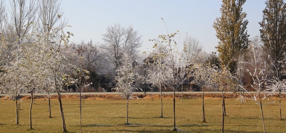 Prado de las Pavas Jardin Botanico (49)