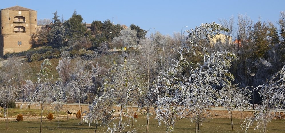 Prado de las Pavas Jardin Botanico (50)