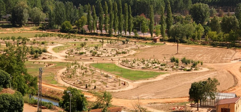 Prado de las Pavas Jardin Botanico (56)