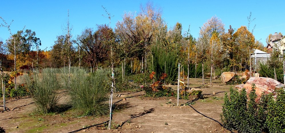 Prado de las Pavas Jardin Botanico (58)