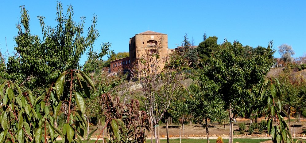 Prado de las Pavas Jardin Botanico (59)