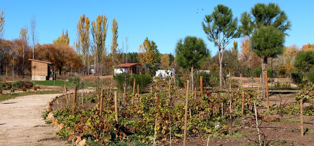 Prado de las Pavas Jardin Botanico (60)