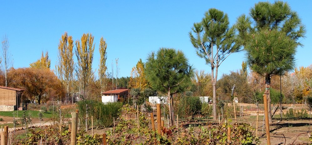 Prado de las Pavas Jardin Botanico (61)