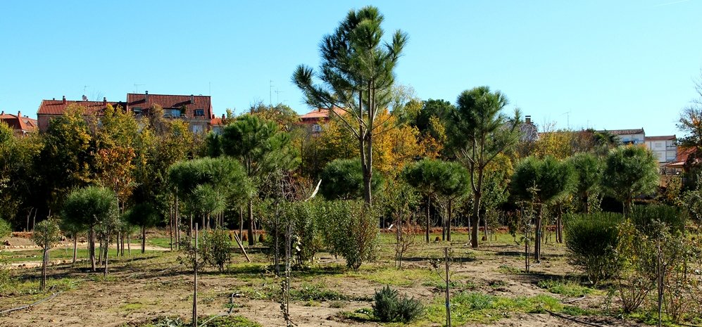 Prado de las Pavas Jardin Botanico (63)