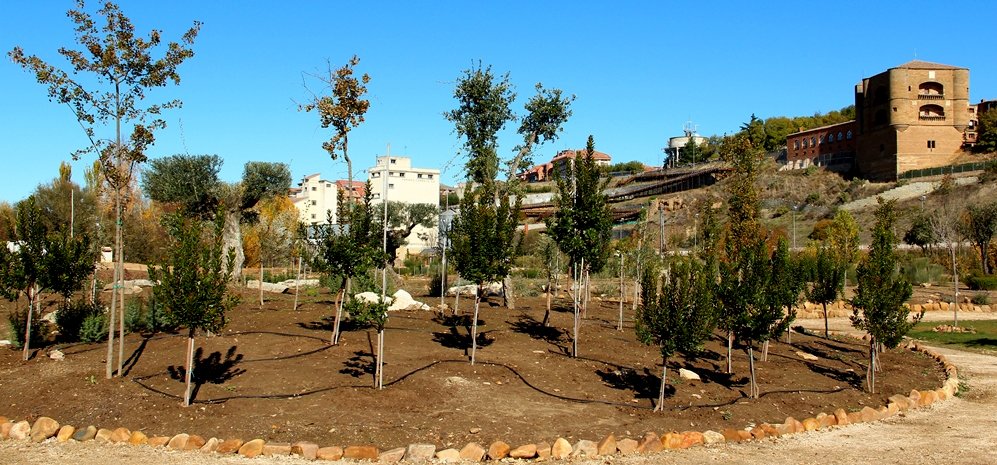 Prado de las Pavas Jardin Botanico (64)