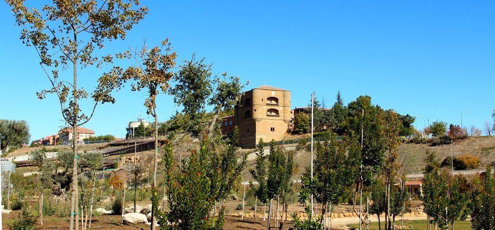 Prado de las Pavas Jardin Botanico (65)