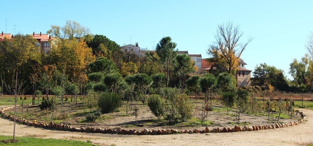 Prado de las Pavas Jardin Botanico (66)