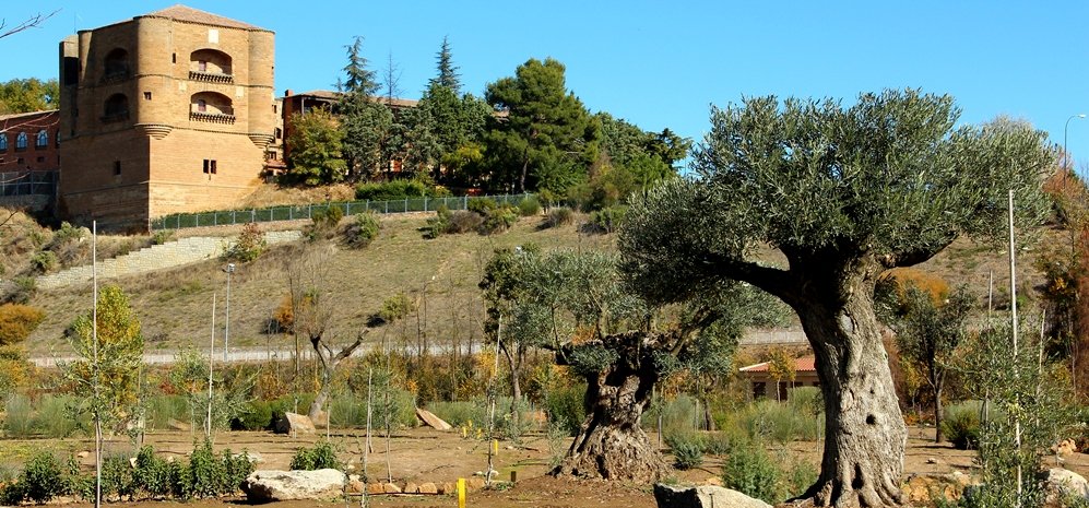 Prado de las Pavas Jardin Botanico (68)