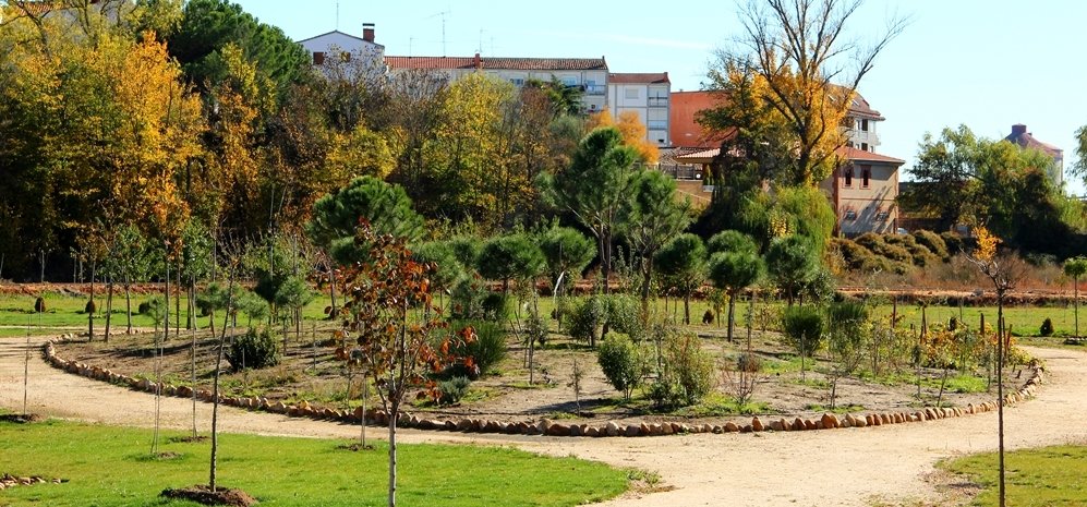 Prado de las Pavas Jardin Botanico (72)