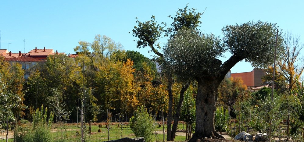 Prado de las Pavas Jardin Botanico (73)