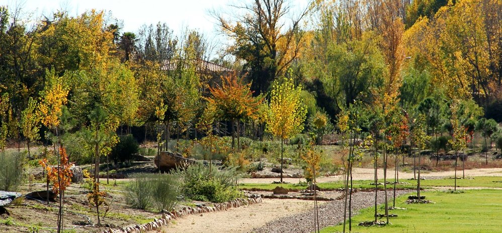 Prado de las Pavas Jardin Botanico (74)