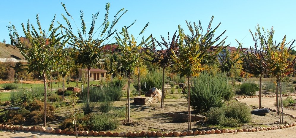 Prado de las Pavas Jardin Botanico (77)