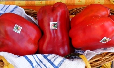 Huerta y Tradición